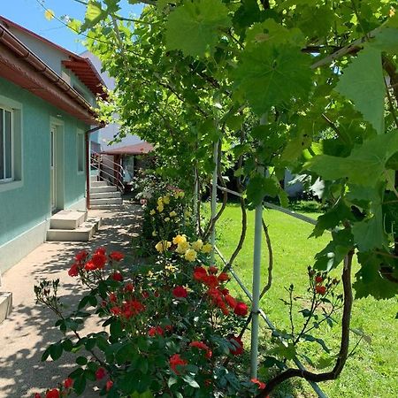 Casa Pestelui Hotell Două Mai Eksteriør bilde