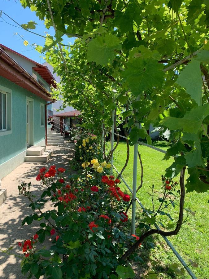 Casa Pestelui Hotell Două Mai Eksteriør bilde